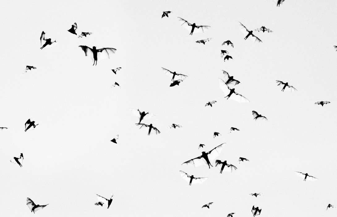 Minutes to Midnight • Trent Parke • Magnum Photos