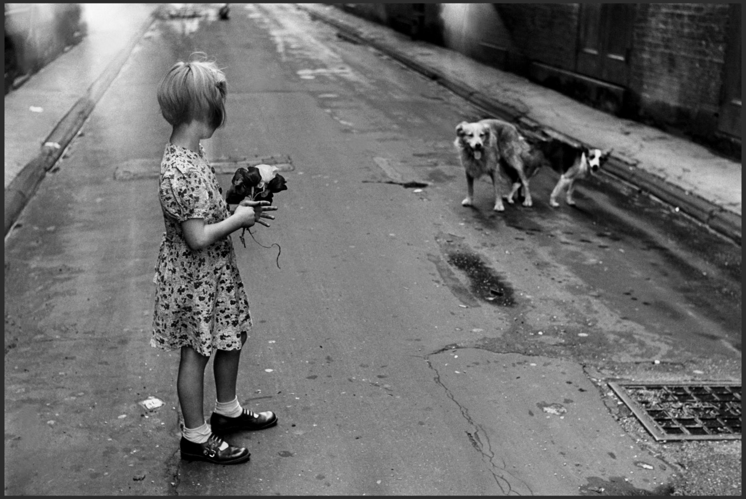 Elliott Erwitt's Pittsburgh â€¢ Magnum Photos