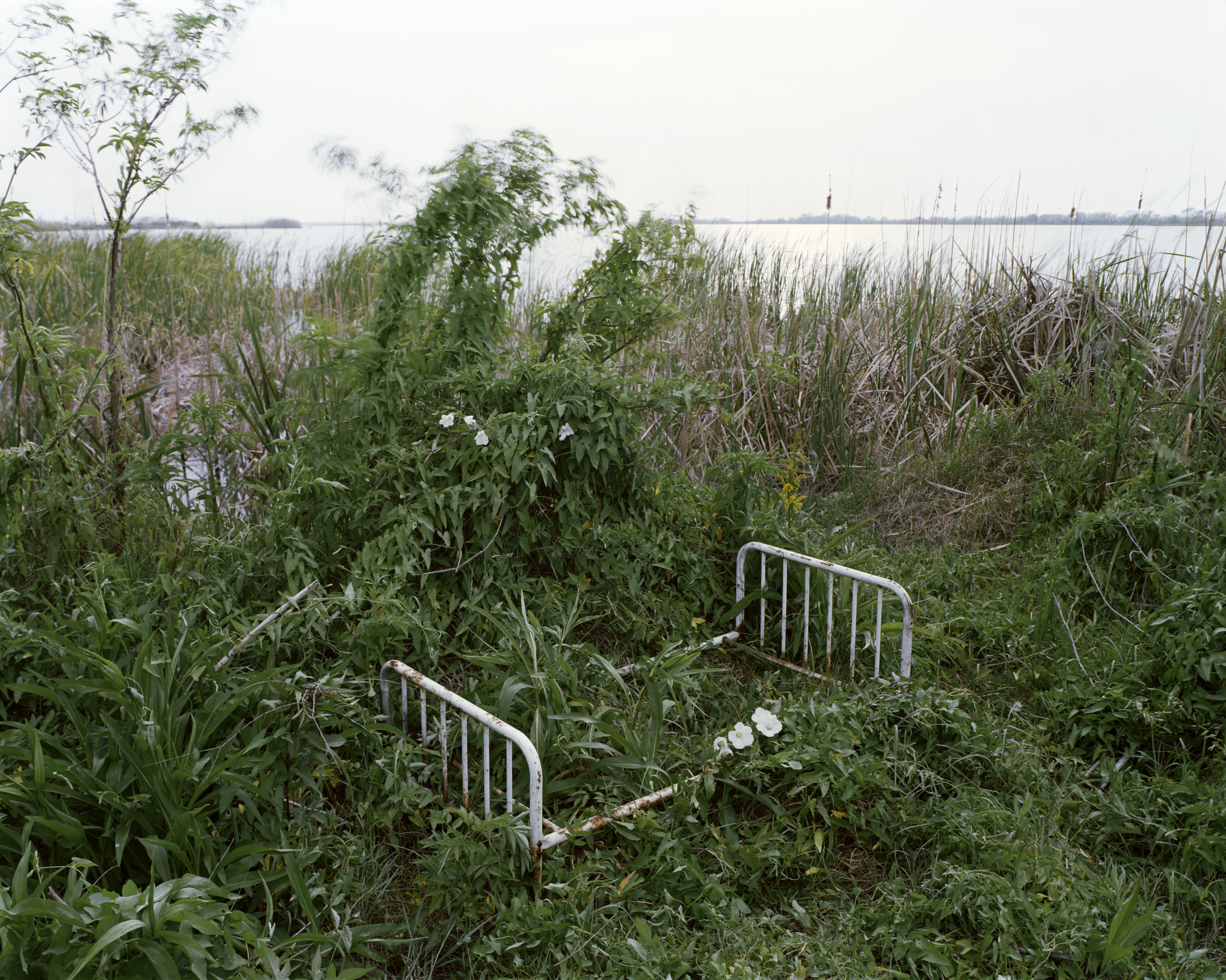 Sleeping By The Mississippi • Alec Soth • Magnum Photos